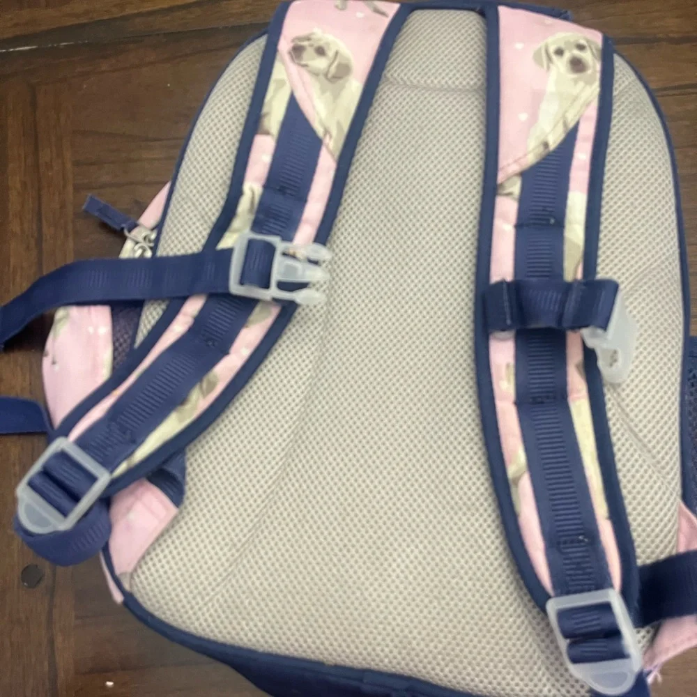 Sweet Pottery Barn Girl’s Puppy Backpack